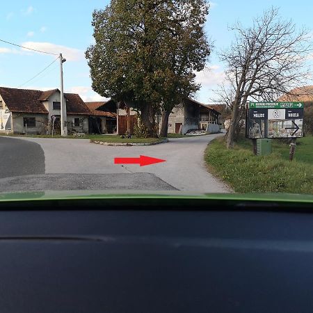 Guesthouse Braslovce - Celje Zewnętrze zdjęcie