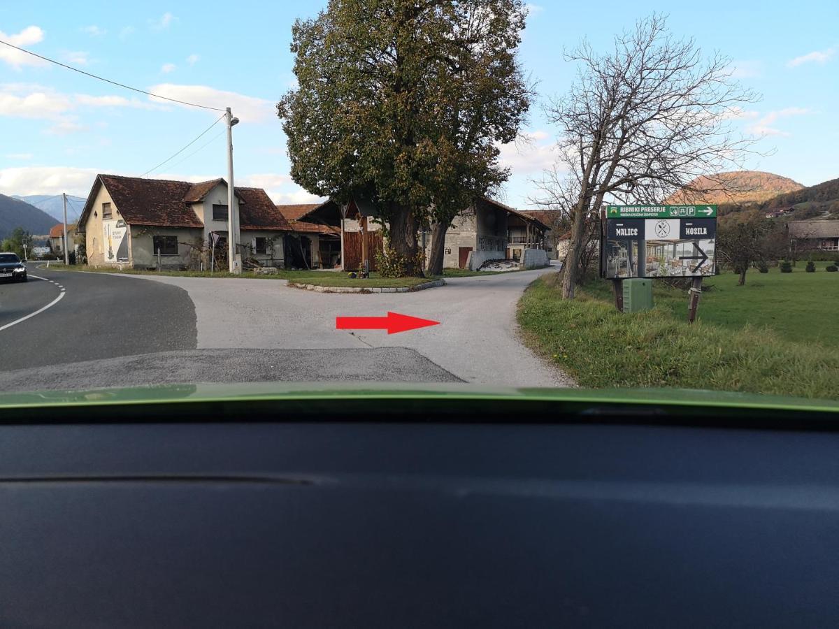 Guesthouse Braslovce - Celje Zewnętrze zdjęcie