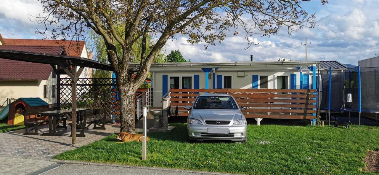 Guesthouse Braslovce - Celje Zewnętrze zdjęcie