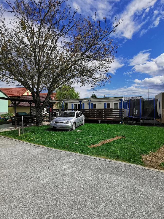 Guesthouse Braslovce - Celje Zewnętrze zdjęcie